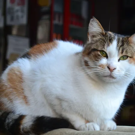 Hostel Second Κωνσταντινούπολη